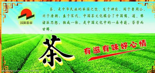 石家庄茶企业宣传片文案的相关图片